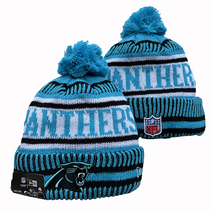 Carolina Panthers knit Hats 045